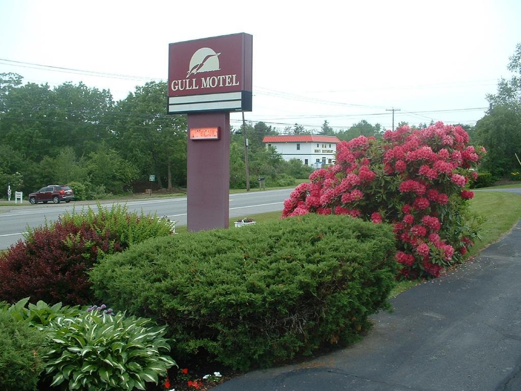 The Gull Motel, Belfast Exterior foto